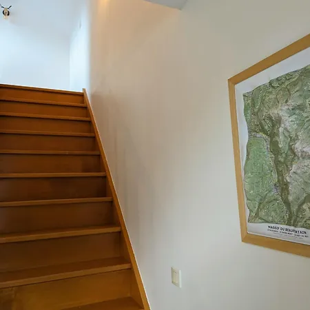 Beau Duplex 100m2 Au Coeur De Beaufort - Avec Vue Montagnes *